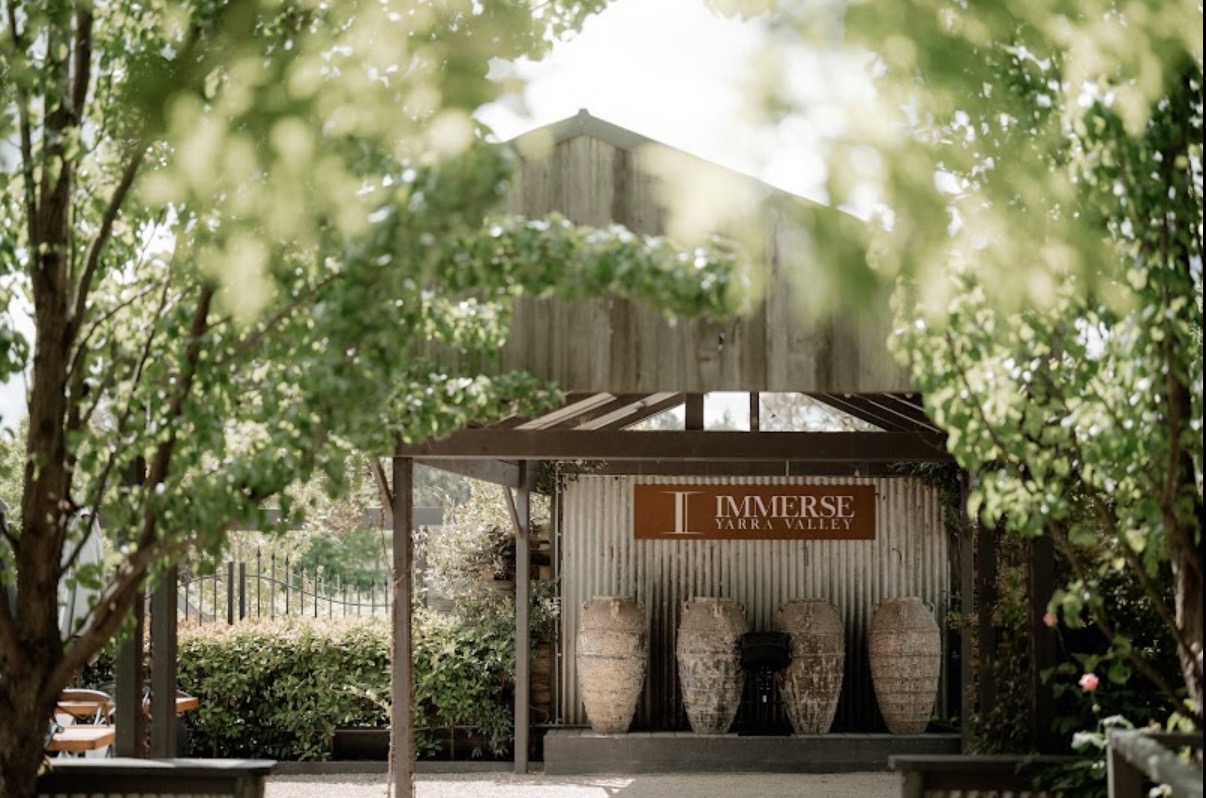 Immerse Wines